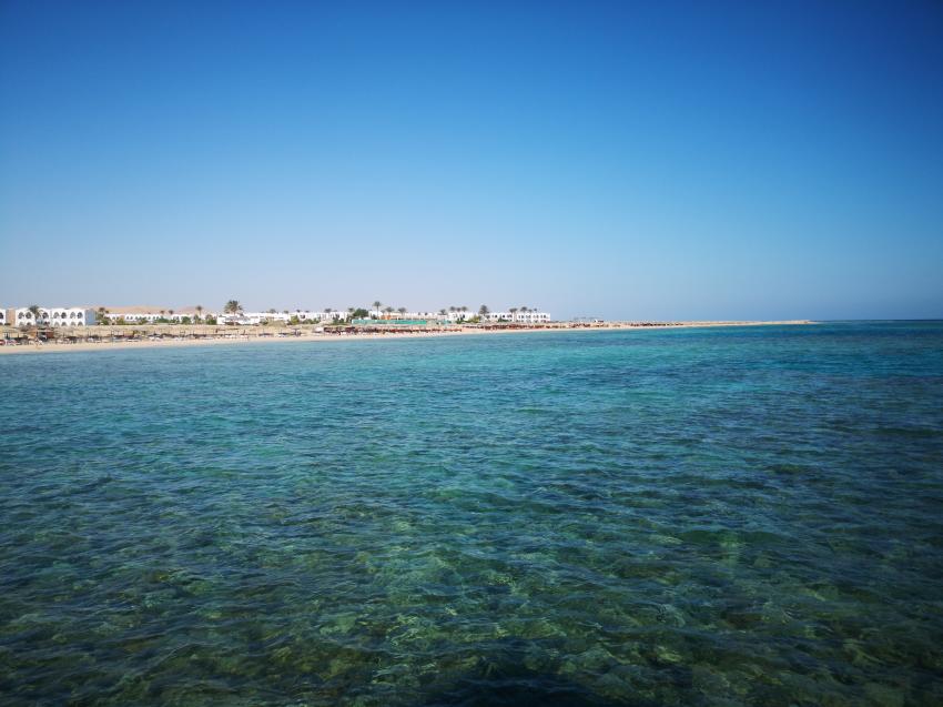 Das Haisriff direkt vor dem Strand , TGI Diving Gorgonia Beach Resort, Marsa Alam, Ägypten, Marsa Alam und südlich