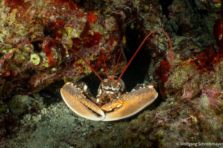 Punta Diving, Betina, Kroatien