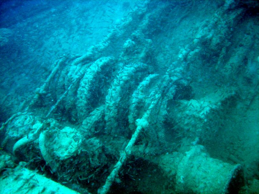 Wrack der Rosalie Moller, Wrack der Rosalie Möller,Ägypten