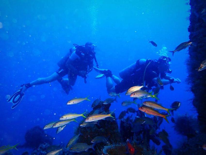 Diving Adentures Resort, Dominikanische Republik