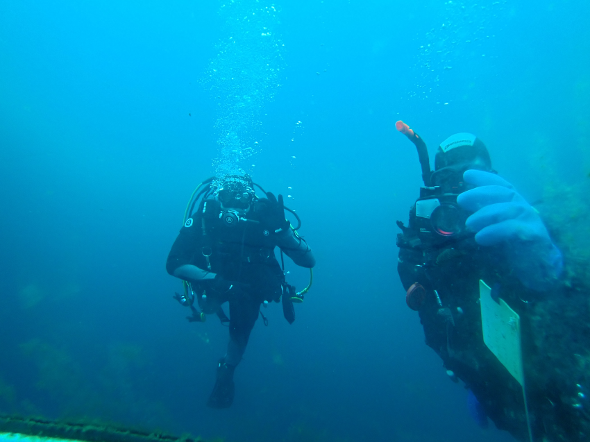 Rainers Dive Team, Deutschland, Nordrhein-Westfalen