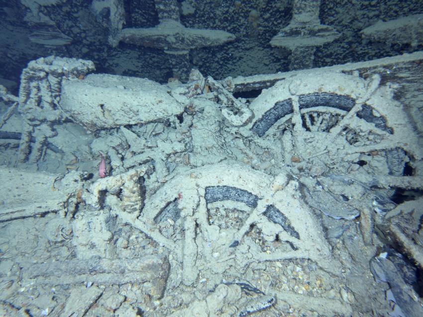 Diving Forever - Deutsche Tauchschule in Hurghada, Ägypten, Hurghada