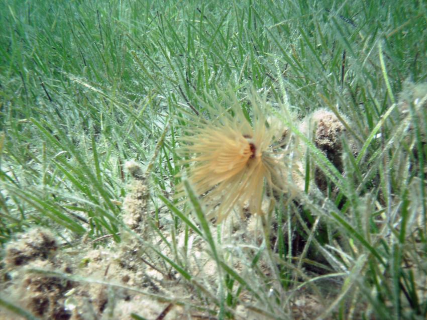 Halkidiki - Athos, Halkidiki - Athos,Griechenland