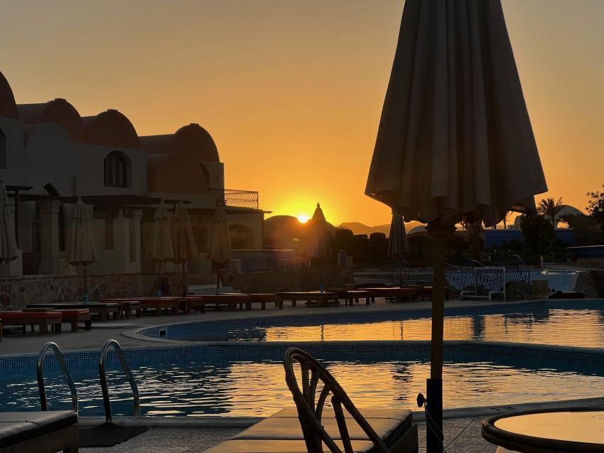 Ducks Diving Quesier at Rohanou Beach Resort, Ägypten, El Quseir bis Port Ghalib