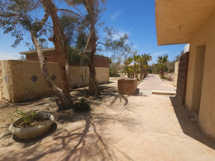 Mangrove Bay Resort, Ägypten, El Quseir bis Port Ghalib