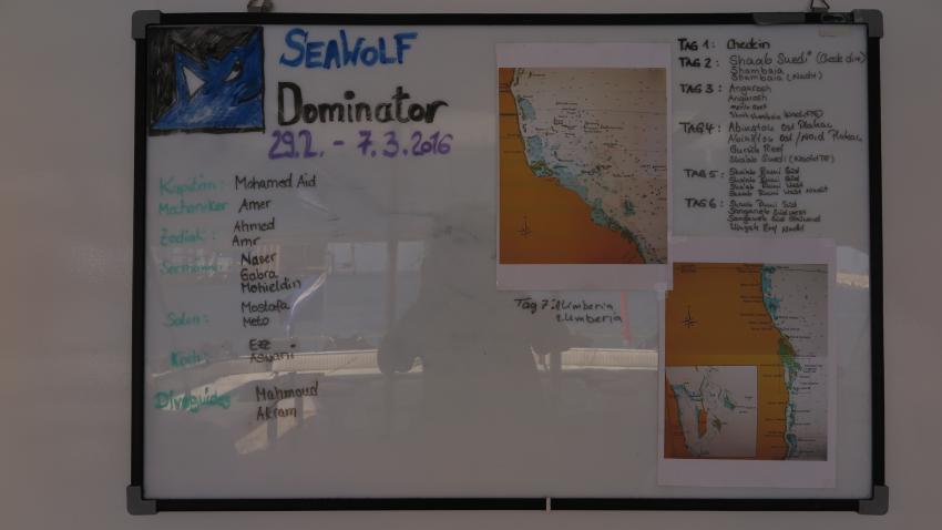 Die Route Sudan Nordtour, Dominator, Sudan, Tauchen, Seawolf Safari, M/Y Seawolf Dominator