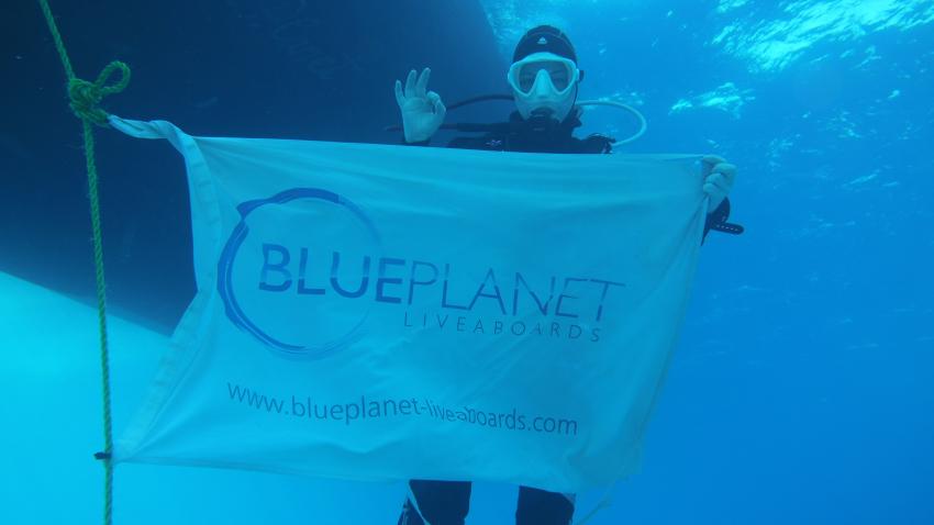 M/Y Blue Planet 1, Ägypten