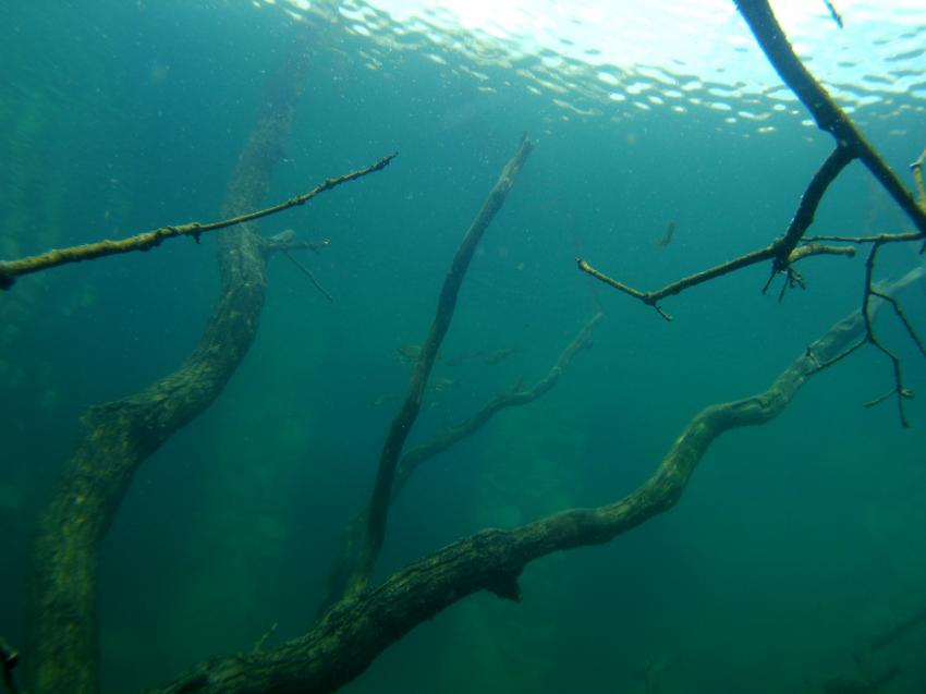 Ibbenbüren, Ibbenbüren,Unterwasserpark,Nordrhein-Westfalen,Deutschland