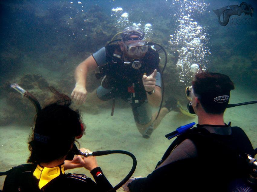 Anda Virgen, Abyss Divers / FloWer Beach Resort, Anda Virgen,Philippinen