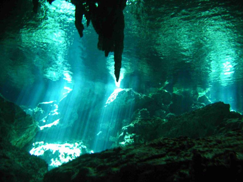 Cenotes, Cenoten gemischt (Cenoten Playa del Carmen,Tulum und Meer),Mexiko,Cenoten,Höhlentauchen,Lichteinfall,Ein-/Ausstieg