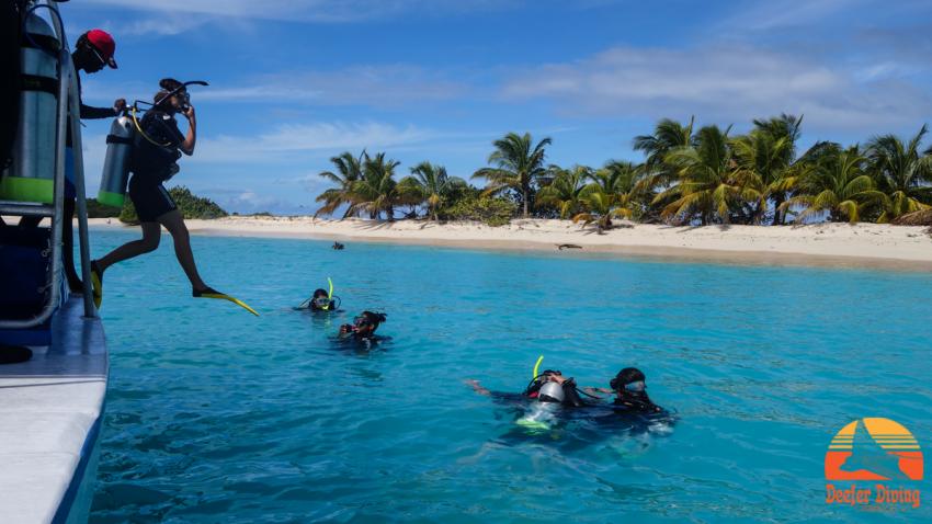 Sandy Island, Carriacou, Grenada, Carriacou, Grenada, Karibik, Deefer Diving, Hillsborough, Carriacou
