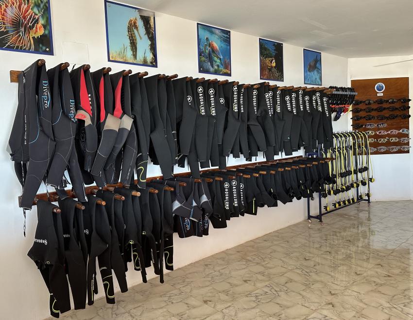 Blue Aqua - German Diving Center, Ägypten, Safaga