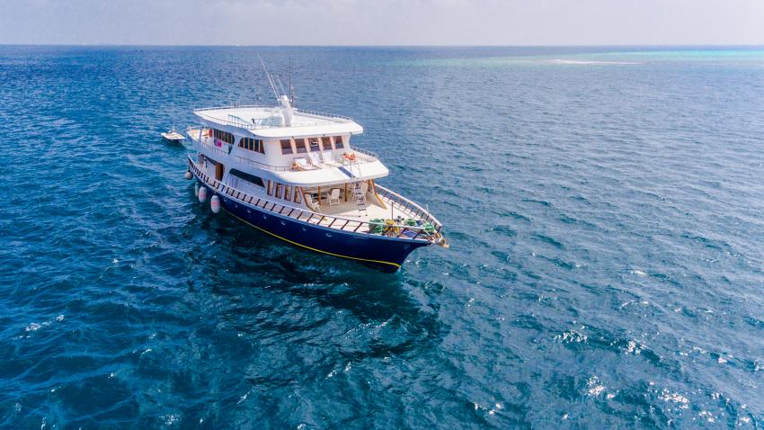 MV Blue Shark Hot Tours Maldives, Malediven