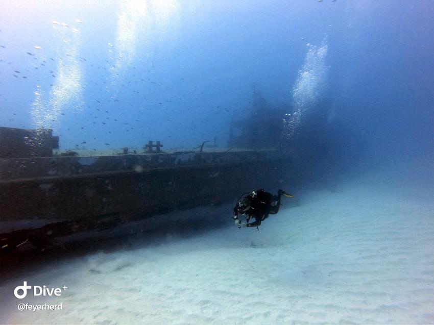 P31, Long, Dive Vision Malta, Labranda Riviera Hotel, Malta, Malta - Hauptinsel