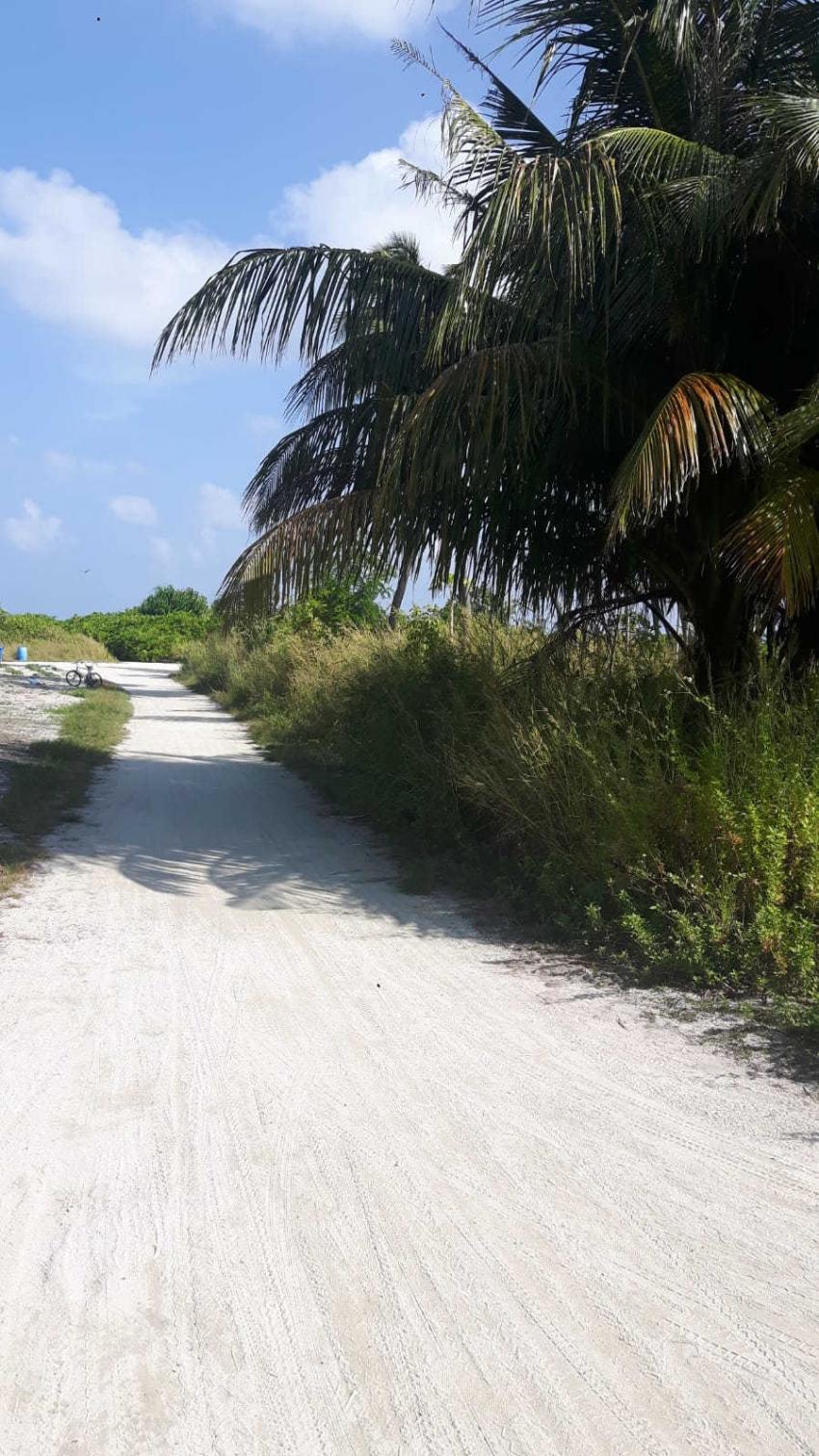 Weg zum Bikini-Beach, Shamar Divers Maamigili, Malediven