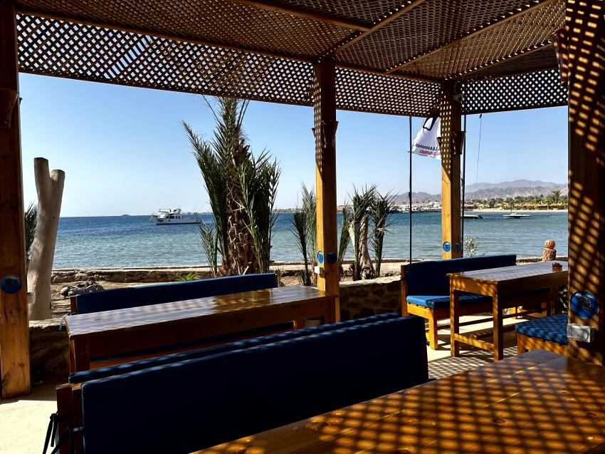 Blue Aqua - German Diving Center, Ägypten, Safaga