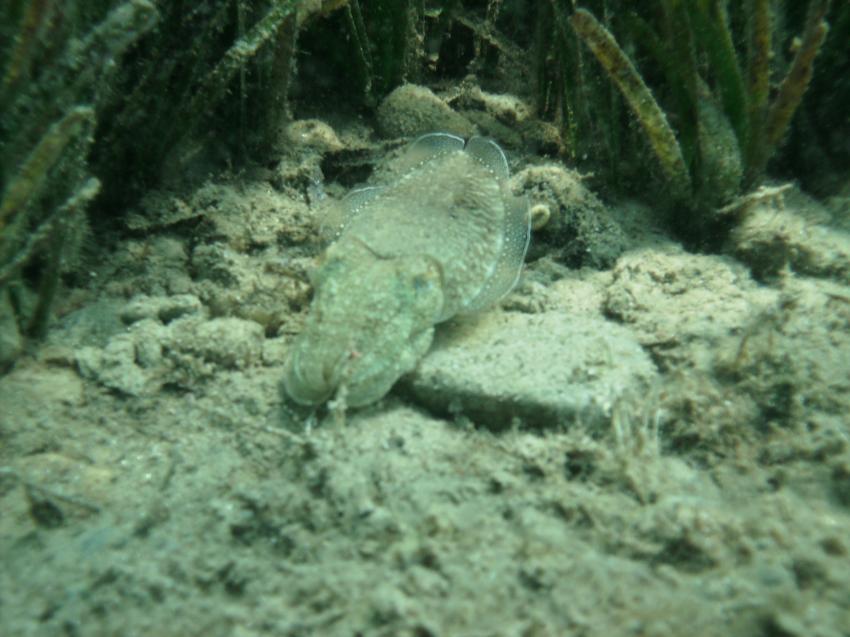 Halkidiki - Athos, Halkidiki - Athos,Griechenland