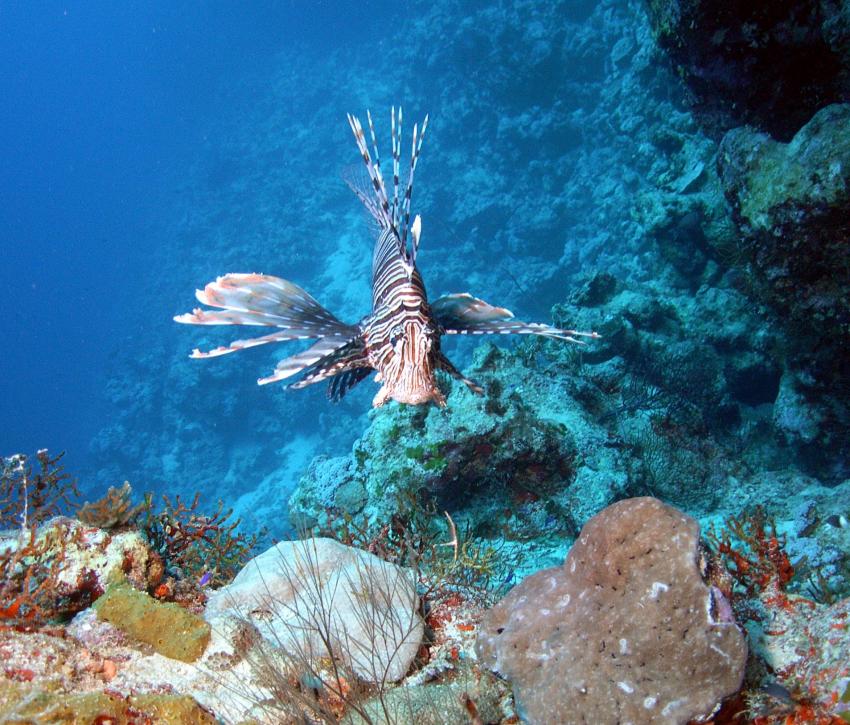 Safaga 01/2011 Teil 2, Safaga - allgemein,Ägypten