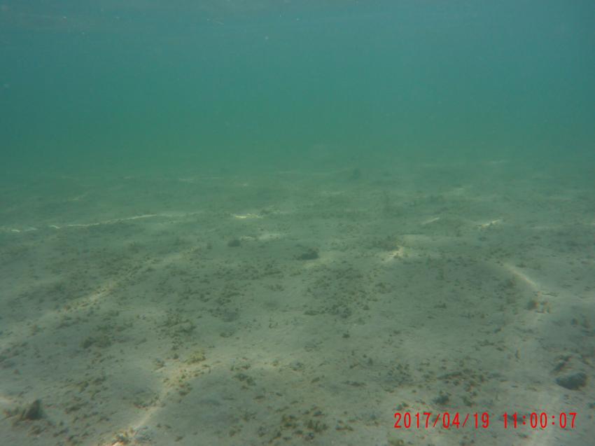 Tauchbasis Koralle, Mondsee St. Lorenz, Österreich