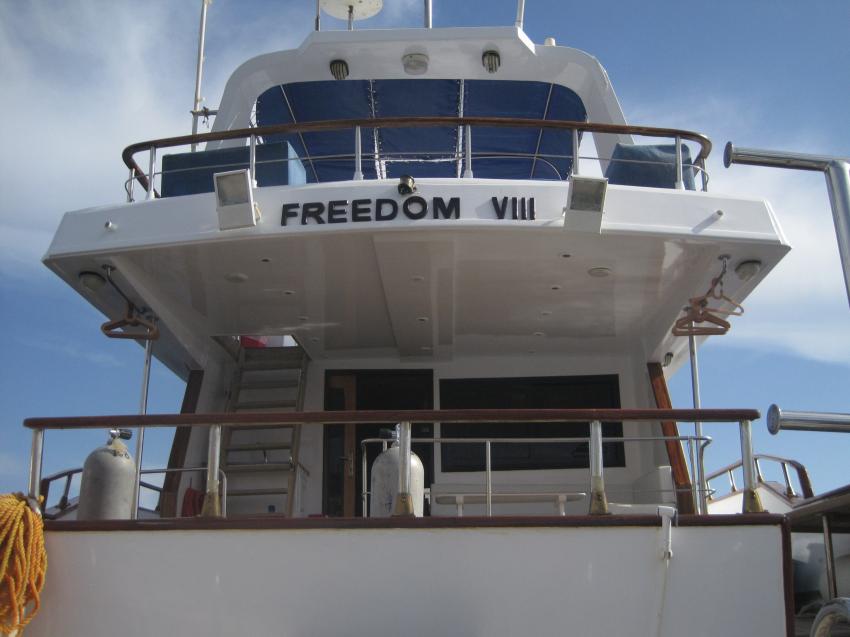 M/Y Freedom VIII, Sharks Bay Umbi Diving, Ägypten