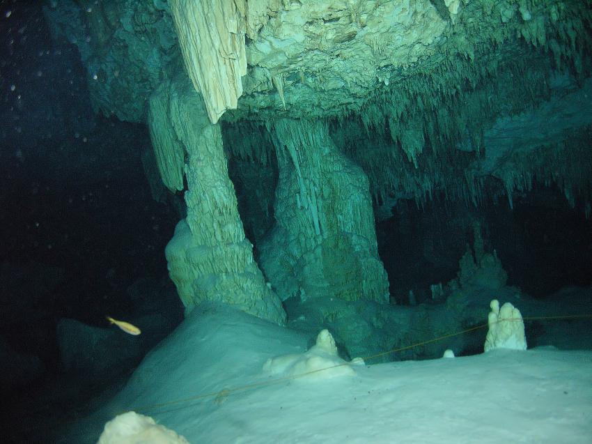 Cenote Bat-Cave (DosOjos)