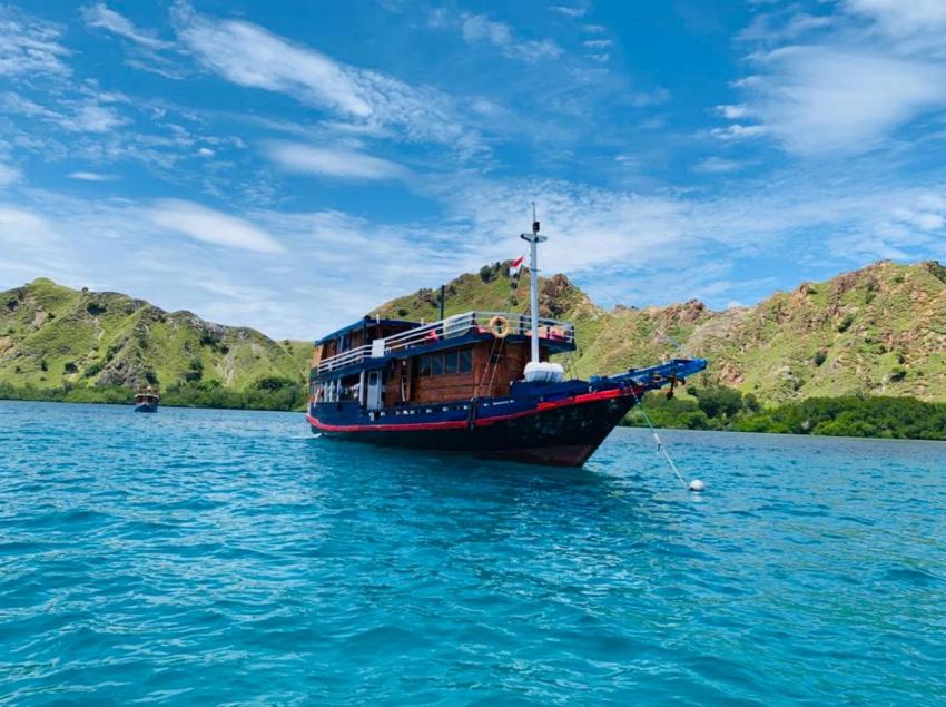 Komodo Shalom, Indonesien