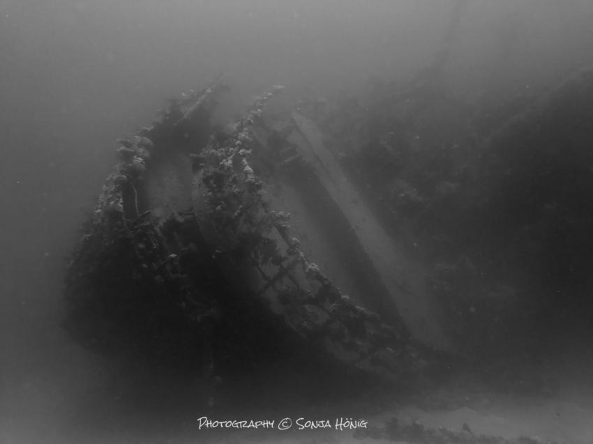 Hamata Wreck, diving.de abu dabab, diving.DE Abu Dabab, El Malikia Resort, Ägypten, Marsa Alam und südlich