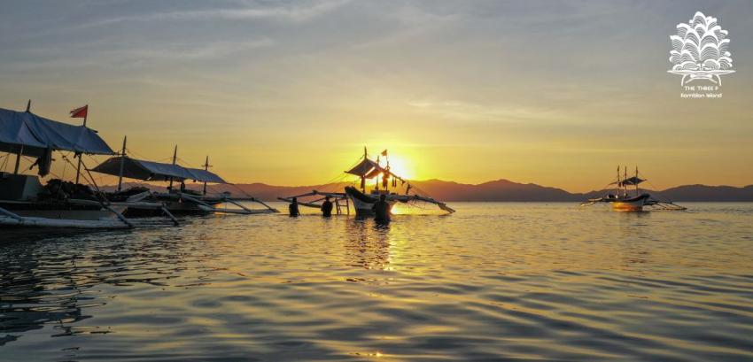 The Three P Beach Resort and Dive Center, Tauchen in Romblon, Tauchen, Romblon Island, The Three P, The Three P Beach Resort and Dive Center, Philippinen