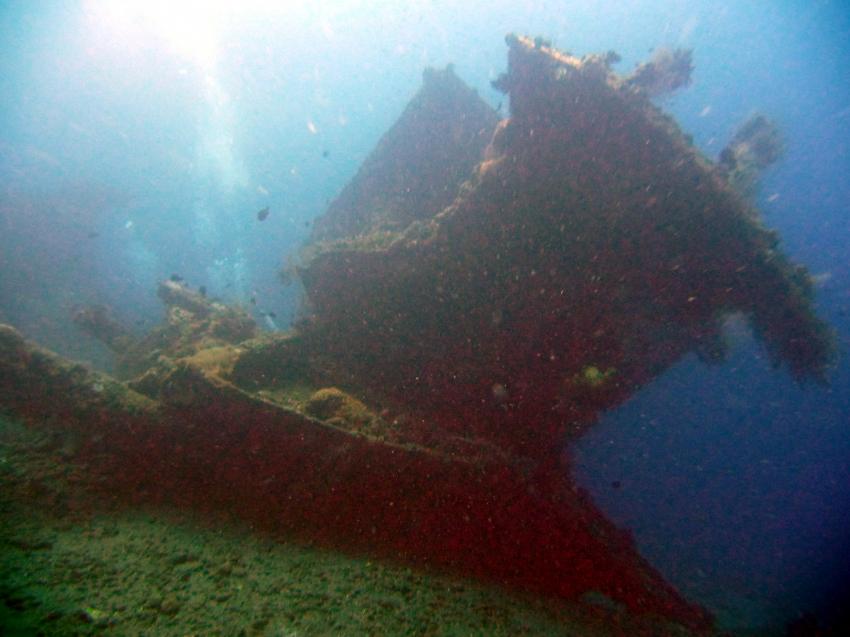 Korallen und Wrack der Liberty, Liberty Wreck,Tulamben,Indonesien