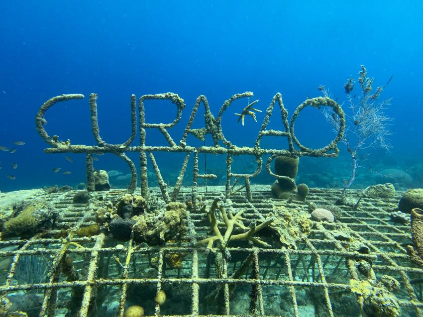 Bio Rock Projekt der Curaçao Divers, Curacao Divers (Sun Reef Village), Sint Michiel, Niederländische Antillen, Curaçao