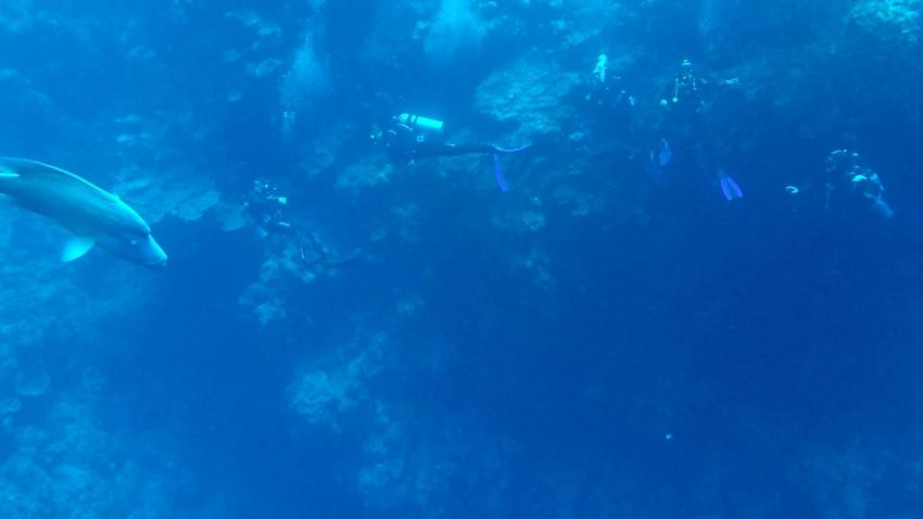 Deep Blue Divers, Ägypten, Hurghada