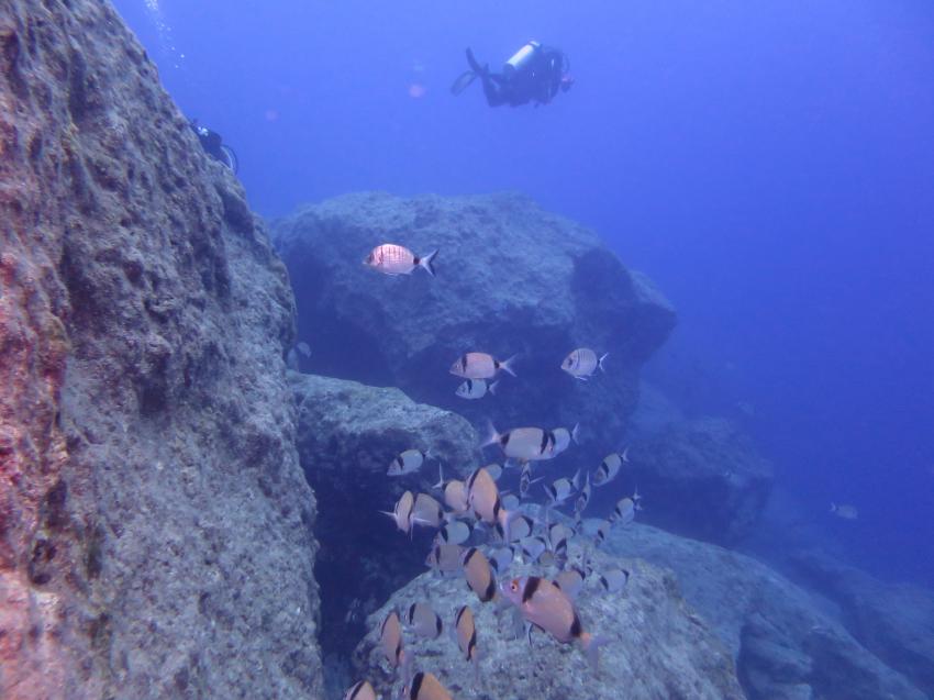 Kalypso Dive Center & School, Griechenland