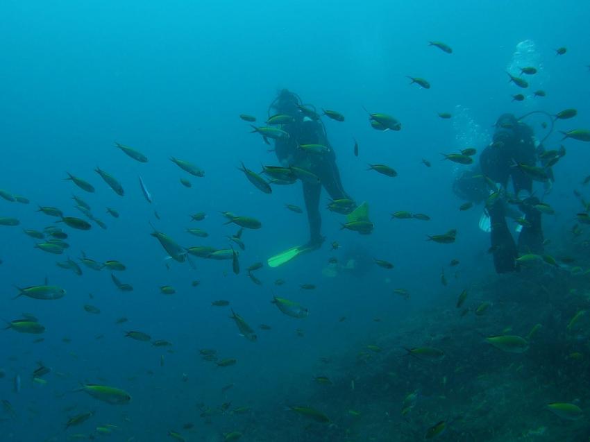 Geheimtipp Diving Center Turtle Bay, Turtle Bay Dive Center, Watamu, Kenia