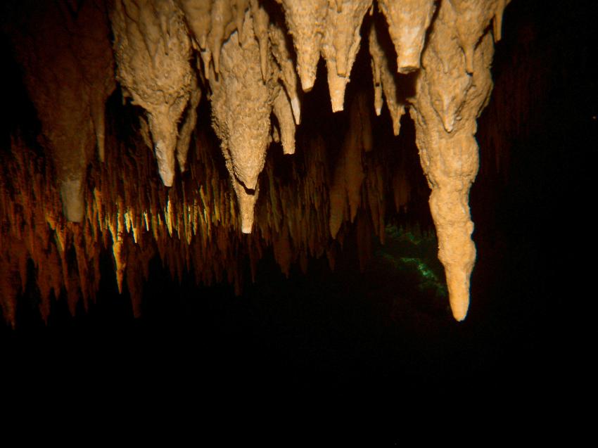 Höhlentauchen, Stalaktiten, Cenoten, Halocline Divers, Mexiko
