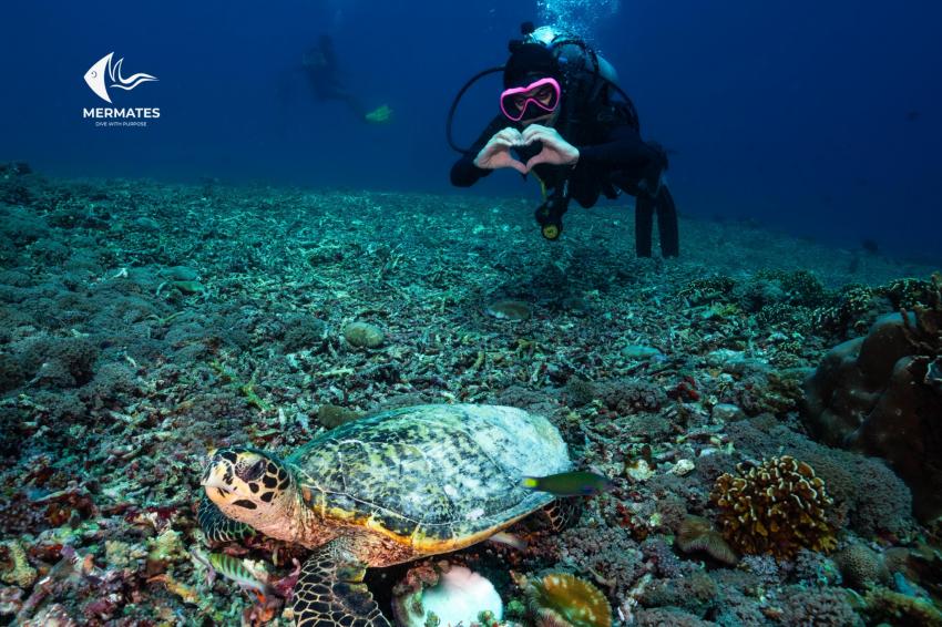 MALAYSIA DIVING TRIP, mermates.club, Arabdivers, Jeddah, Saudi-Arabien