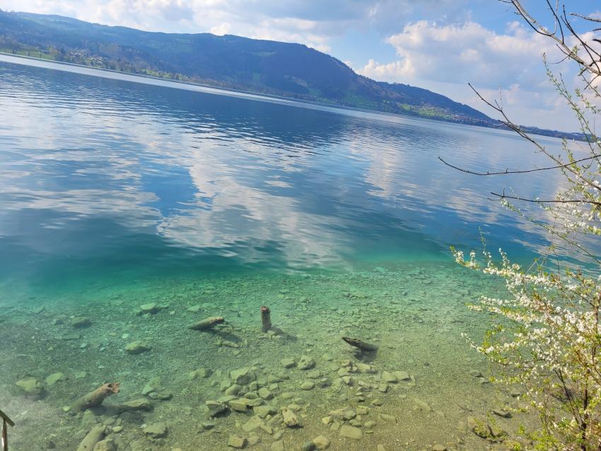 Diving Beyond Limits, Österreich