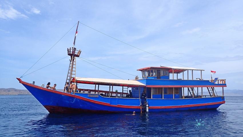 Boot Santai, Wet Frog Divers - Komodo, Indonesien, Allgemein