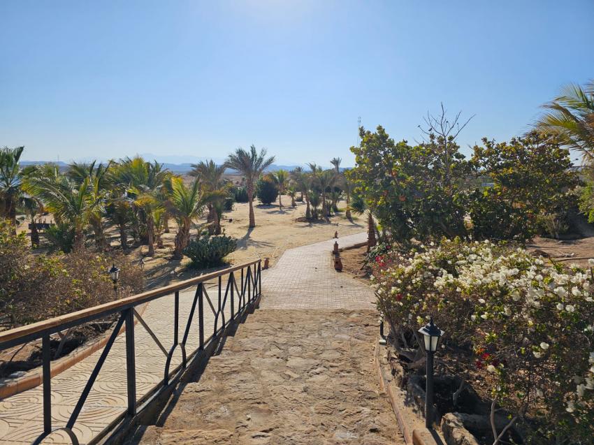 Mangrove Bay Resort, Ägypten, El Quseir bis Port Ghalib