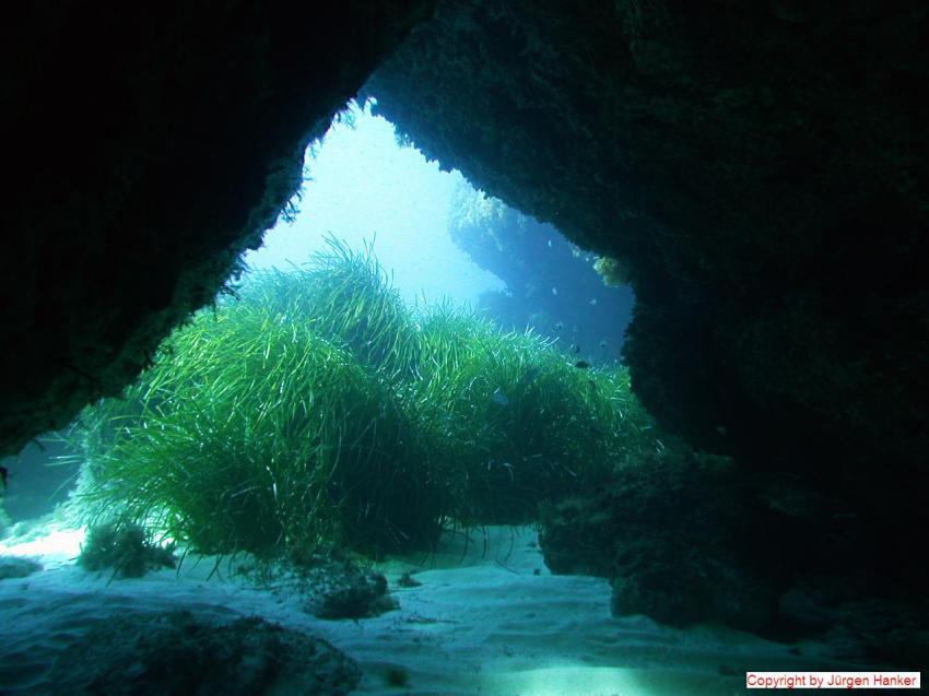 Gozo Aqua Sports - Dive Centre, Gozo allgemein,Malta,Hondoq Reef,höhlenausgang