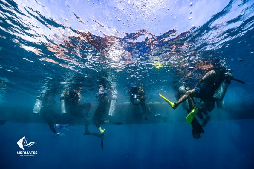 MALAYSIA DIVING TRIP, mermates.club, Arabdivers, Jeddah, Saudi-Arabien