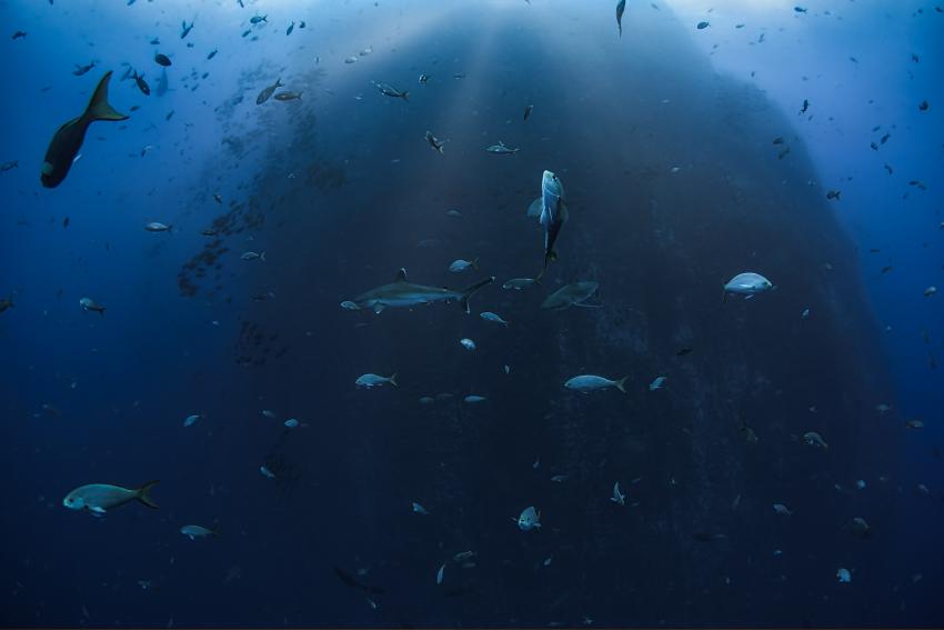 Nautilus Under Sea, Mexiko
