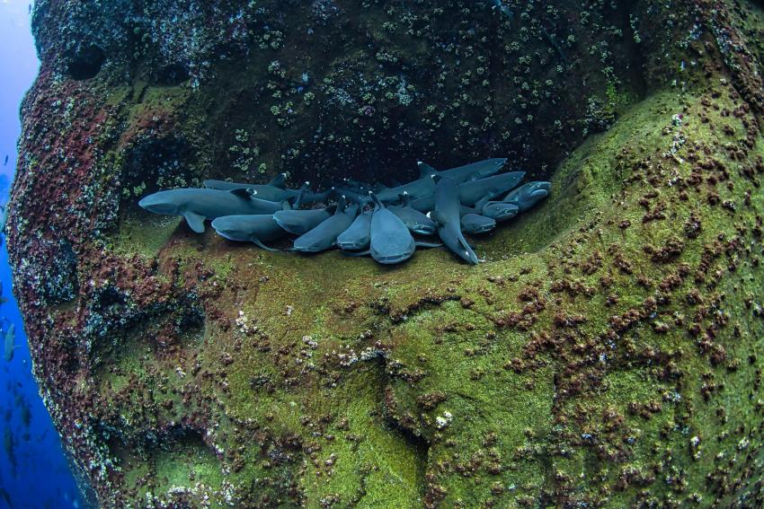 Nautilus Under Sea, Mexiko