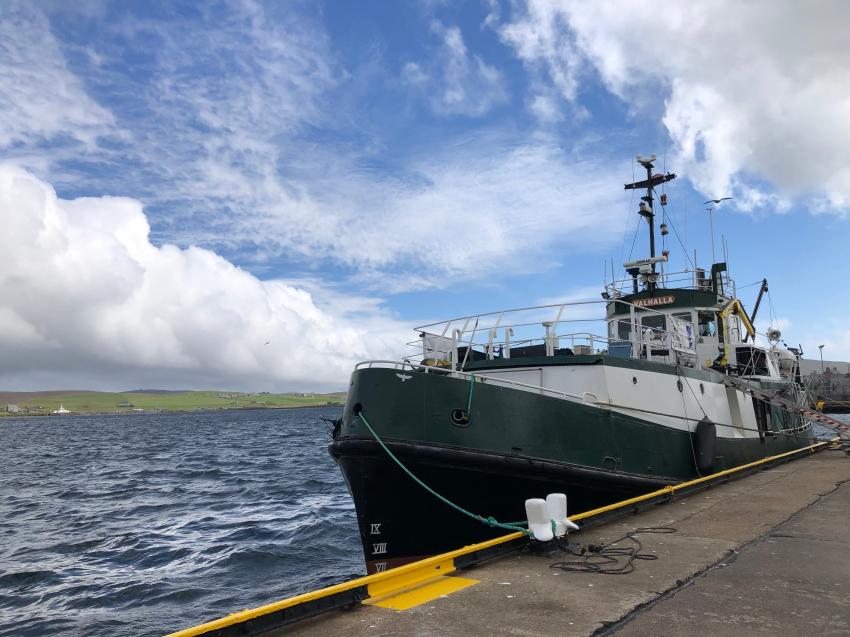 MV Valhalla, MV-Valhalla, Orkney and Shetland Charters, Großbritannien, Schottland