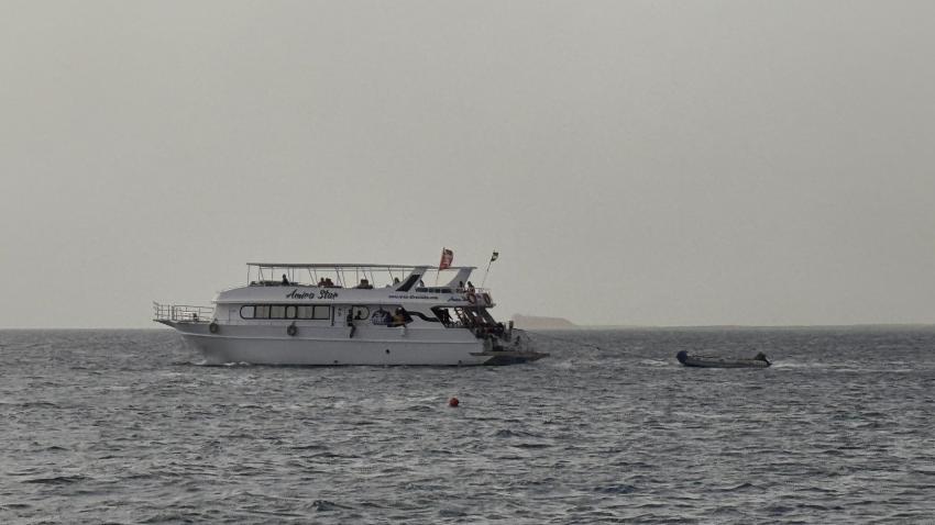 ORCA Dive Club Safaga Amarina Resort, Ägypten, Safaga