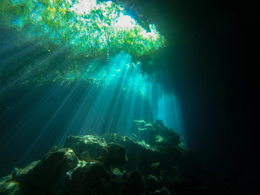 Halocline Divers, Mexiko