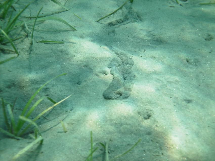 Halkidiki - Athos, Halkidiki - Athos,Griechenland