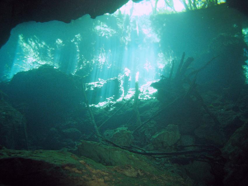 Cenotes, Cenoten gemischt (Cenoten Playa del Carmen,Tulum und Meer),Mexiko,Cenotes,höhlentauchen,klar,licht