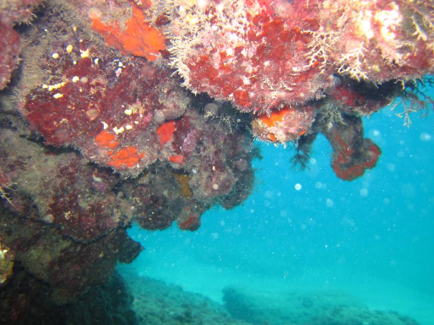 deep sea diving karaburun alanya turkei, deep sea diving karaburun alanya turkei,Türkei