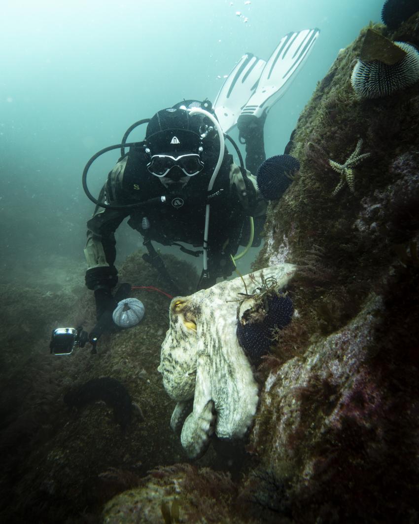 Breizh Tek Diving, Névez, Frankreich Breizh Tek Diving, Névez, Frankreich