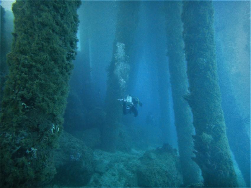 Apo Diver Siquijor, Philippinen